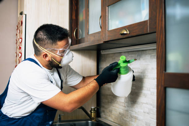 Best Emergency Pest Control  in Gardner, IL