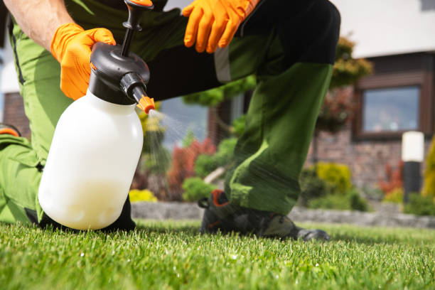 Best Termite Control Services  in Gardner, IL