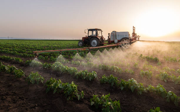Best Ant Control Services  in Gardner, IL