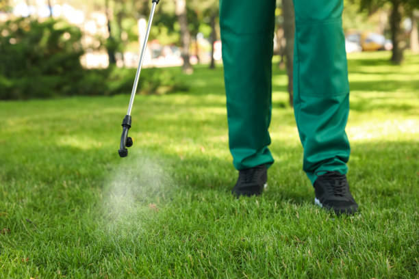 Best Rodent Control Near Me  in Gardner, IL