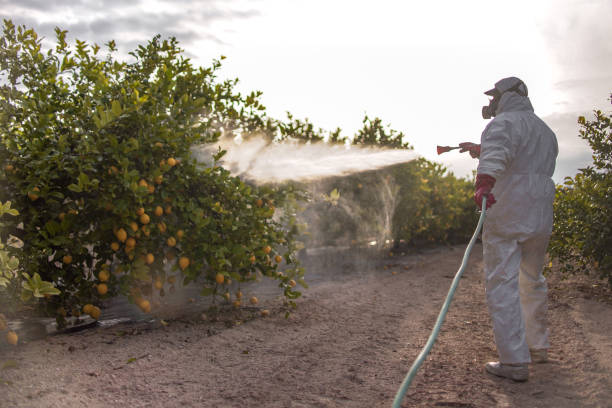 Best Ant Control Services  in Gardner, IL