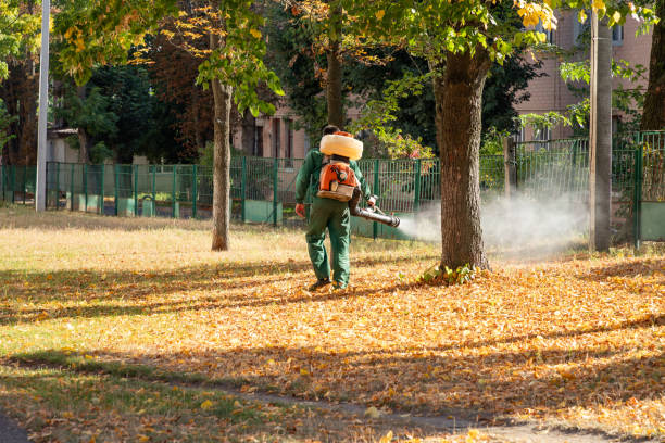 Best Residential Pest Control  in Gardner, IL