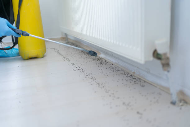 Best Best Pest Control Companies  in Gardner, IL
