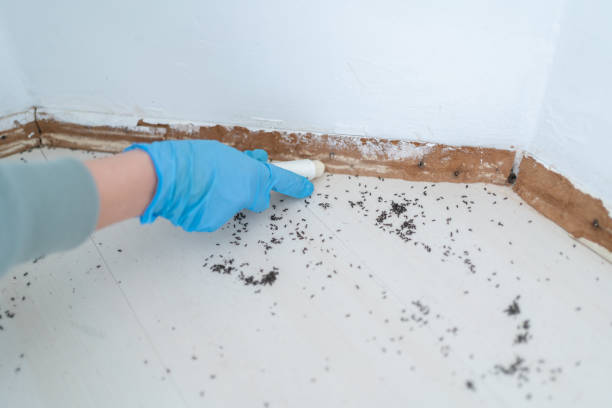 Best Affordable Pest Control Services  in Gardner, IL