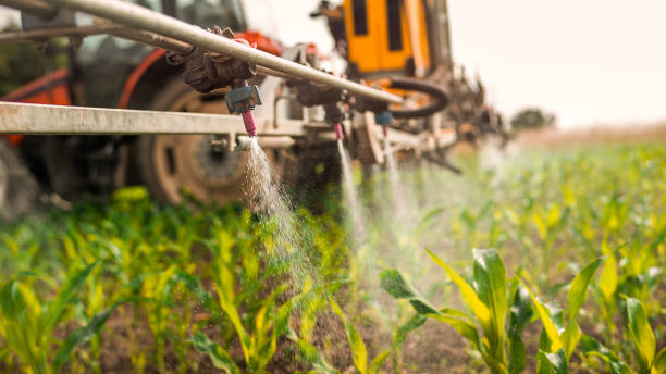 Best Pest Removal Services  in Gardner, IL