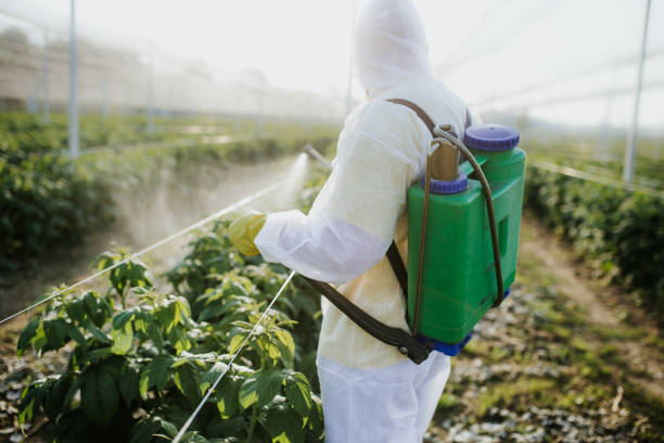 Best Cockroach Control Services  in Gardner, IL